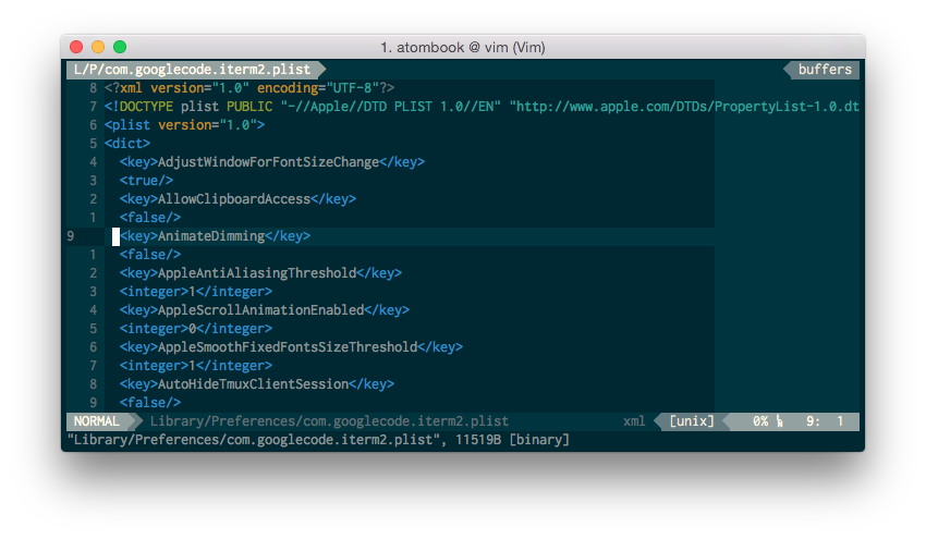 Screenshot of vim-plist in action