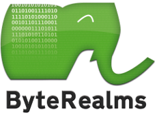 ByteRealms Logo