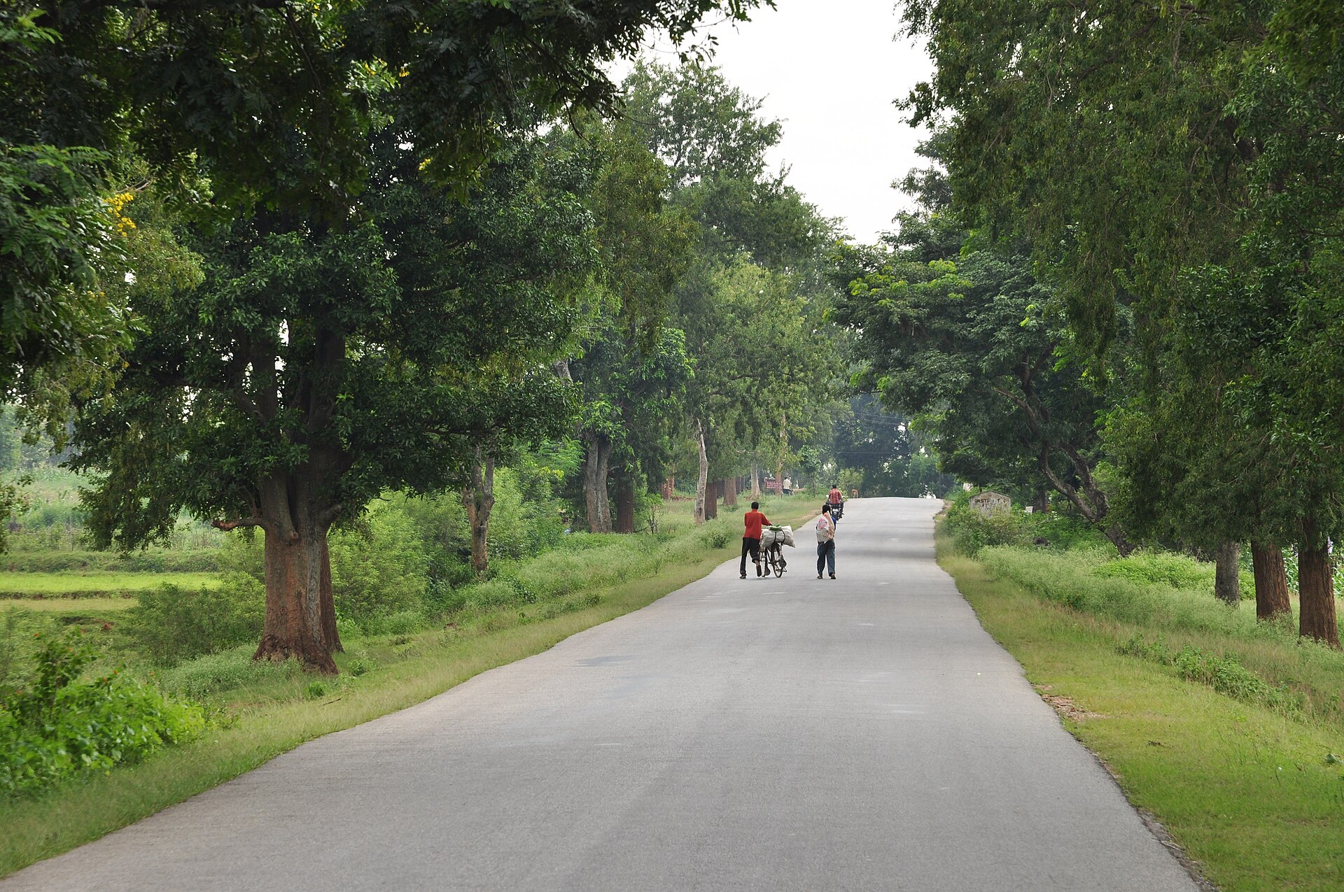 No Lanes India