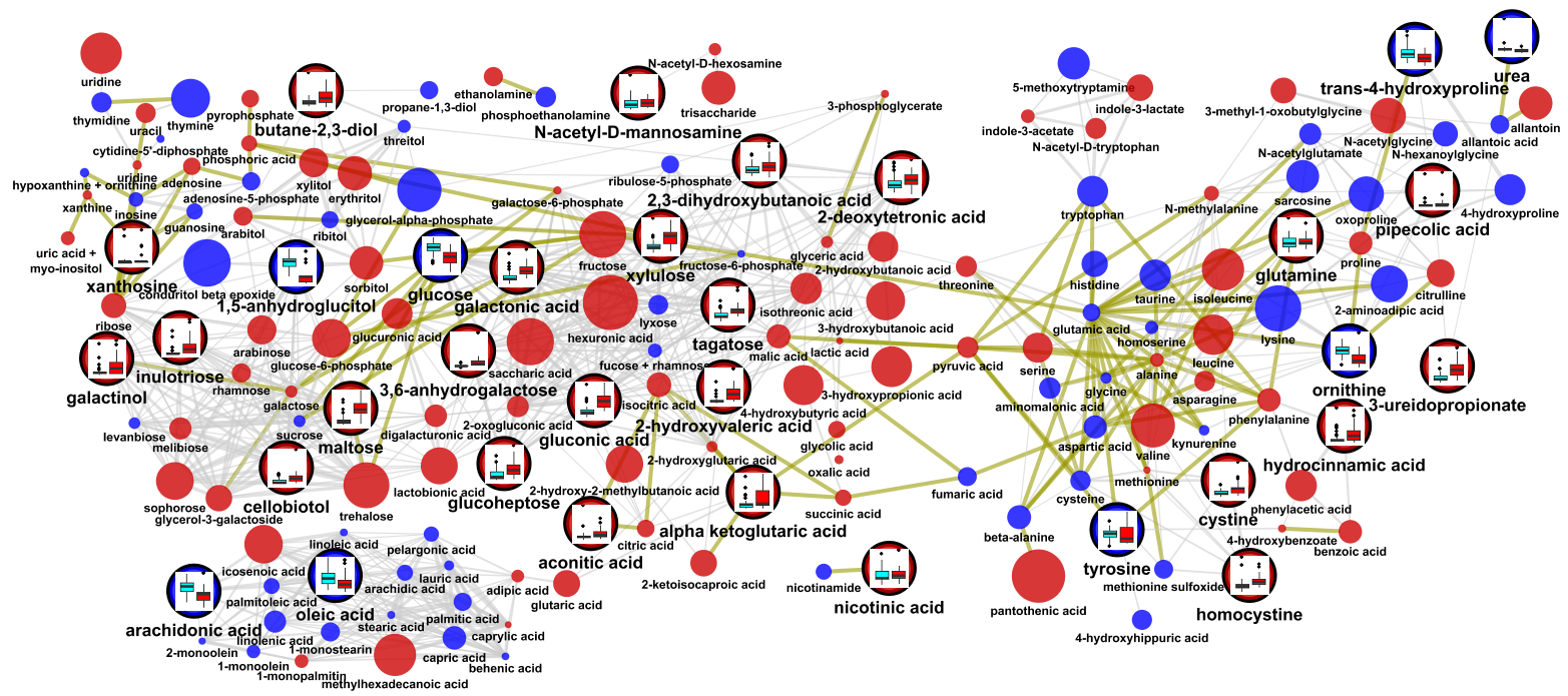 Example network