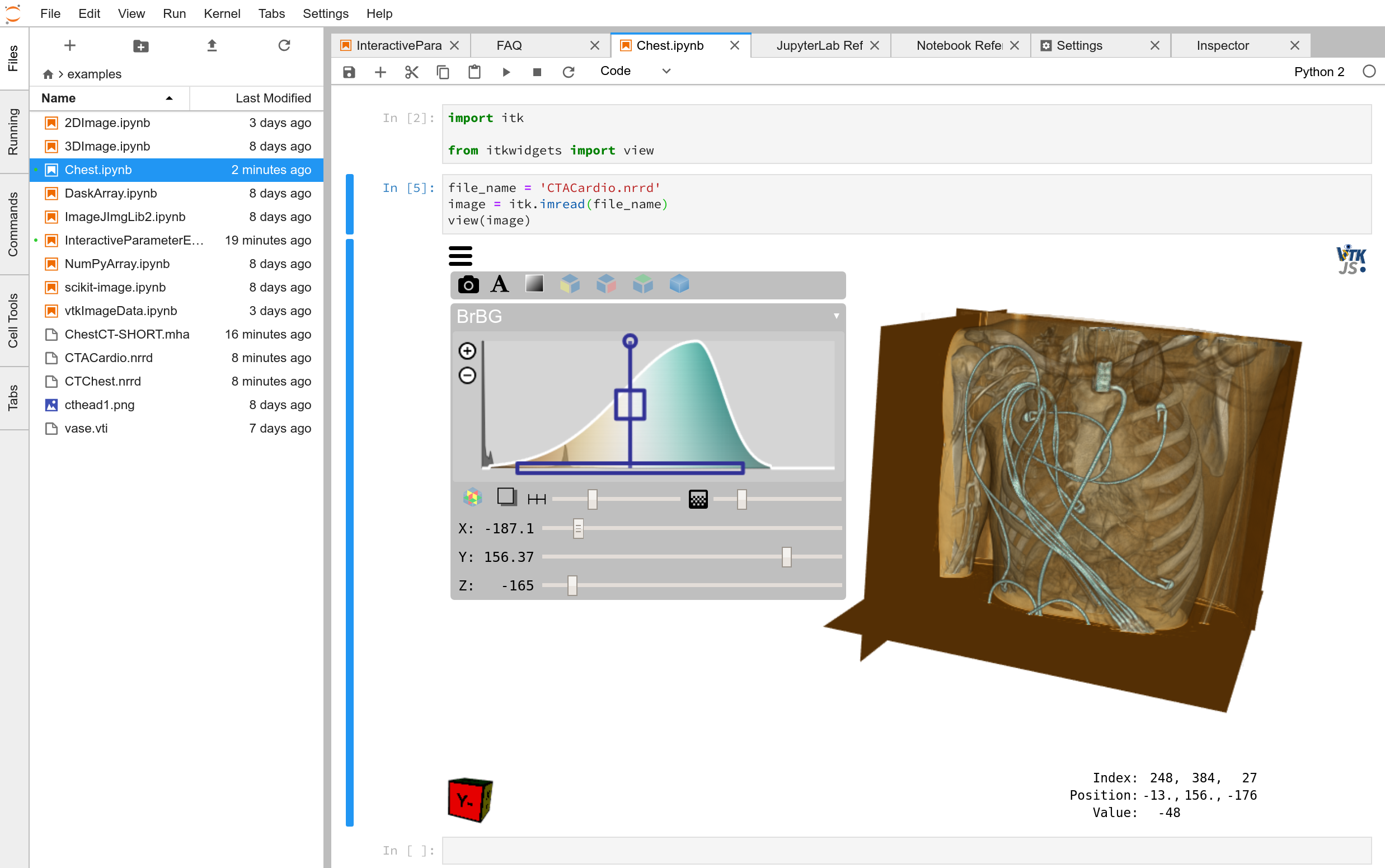 itkwidgets chest CT in JupyterLab