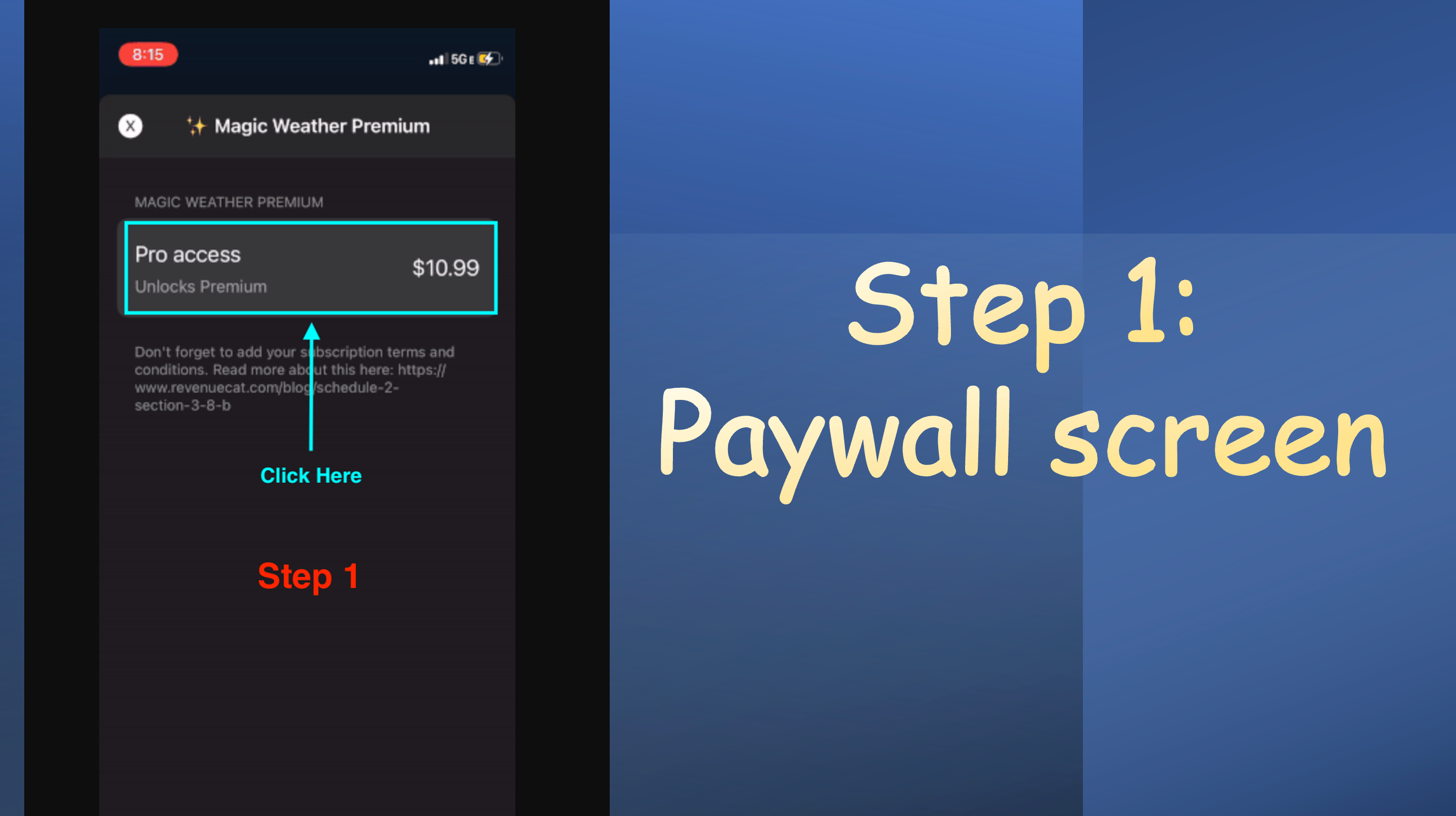 Step 1: Paywall screen