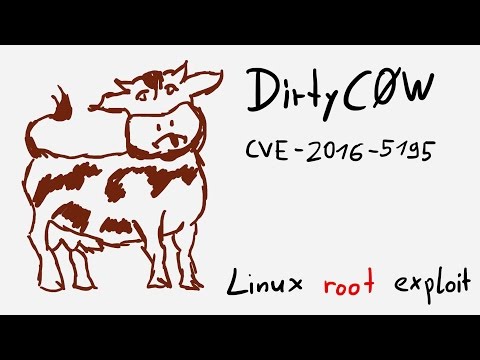 Explaining dirtyc0w local root exploit - CVE-2016-5195