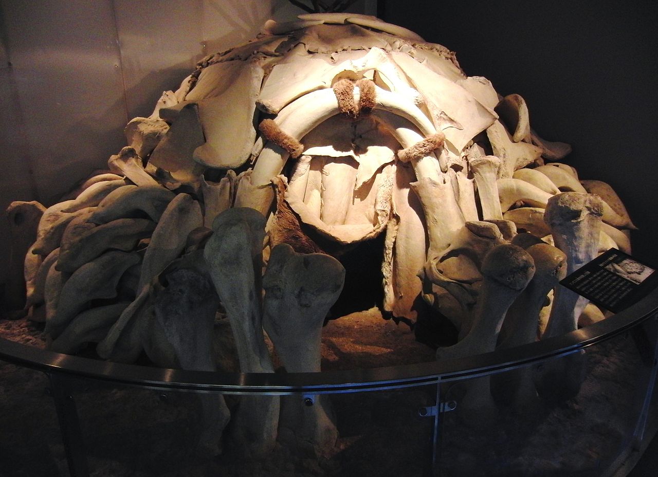 Reconstituição de tenda em ossos e peles de mamute de Mezhyrich, Ucrânia, 15.000 a.p., no Museu Nacional de Tóquio Foto: Momotarou2012, 2013